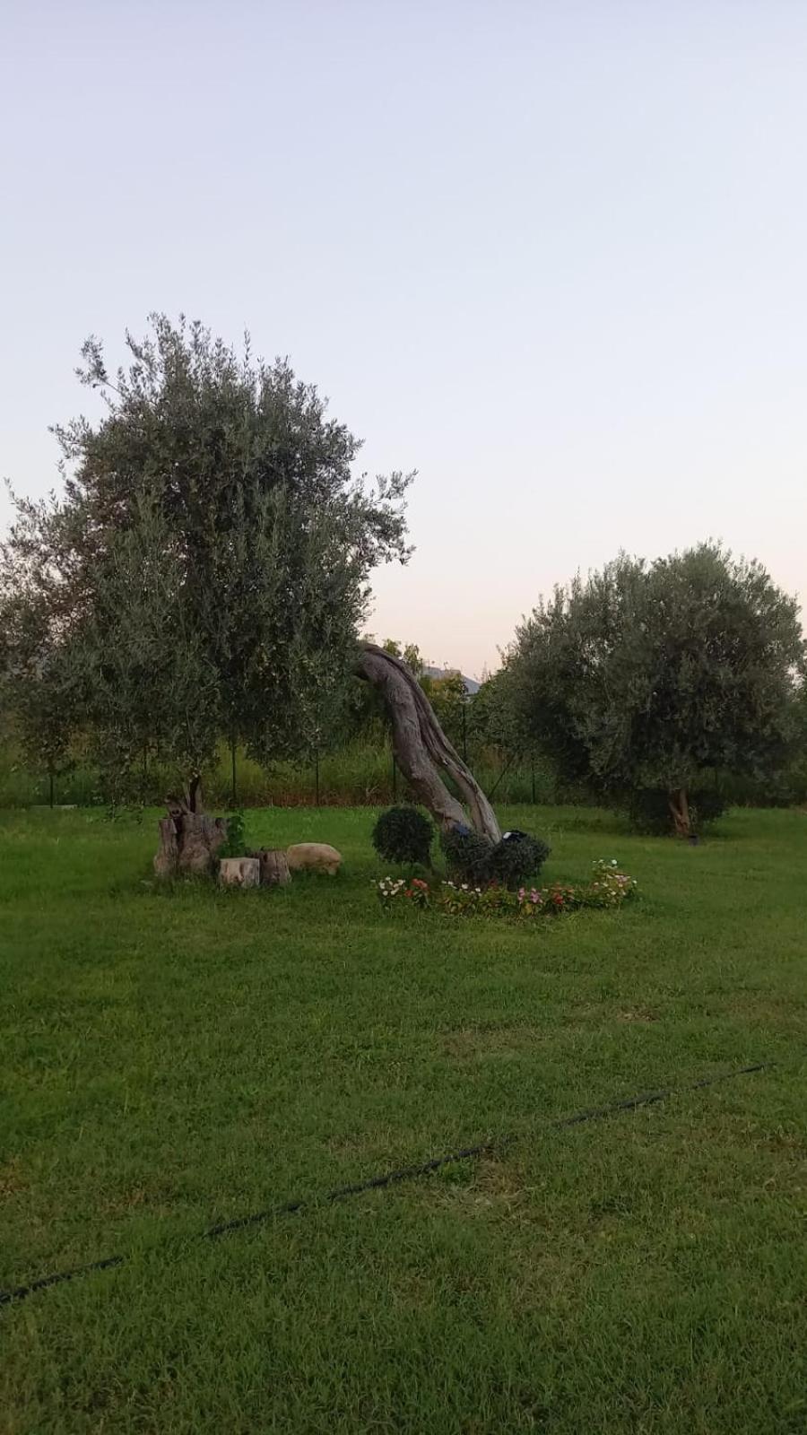 Вилла I Secolari Di Giulia Авола Экстерьер фото
